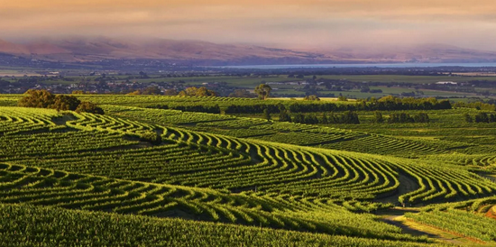 澳大利亞葡萄酒產(chǎn)區(qū)